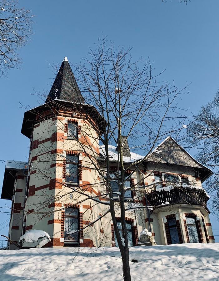 Turmvilla Vogtland Oelsnitz  Exterior foto